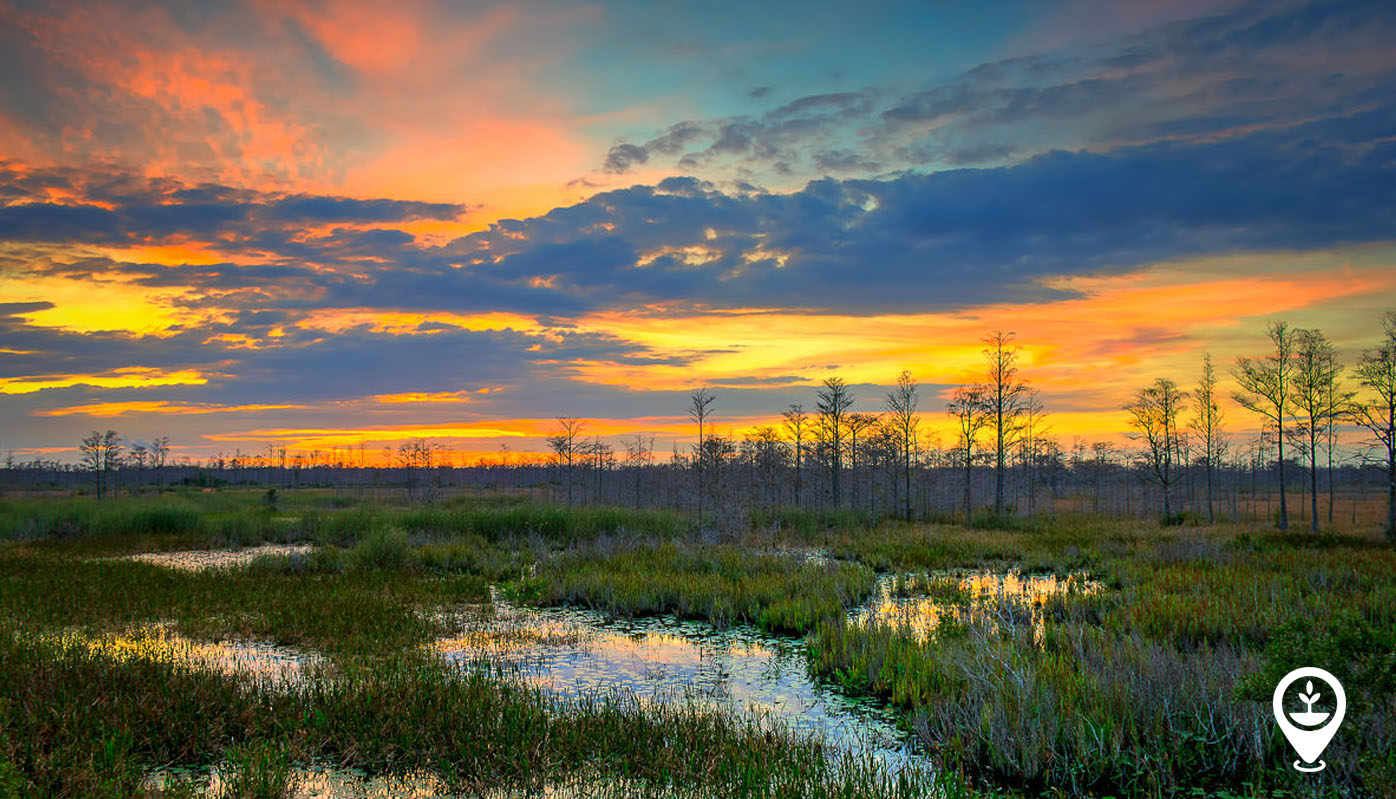 Three Pillars of Ramsar Convention